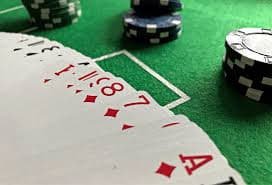 monyet togel App monyet togel App